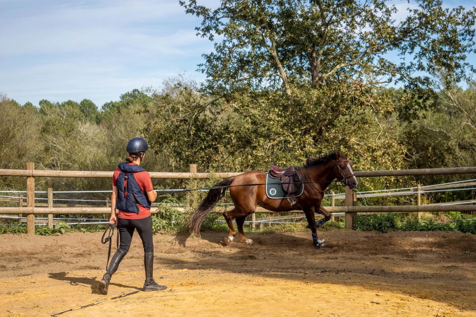 Cours d'équitation Biscarrosse